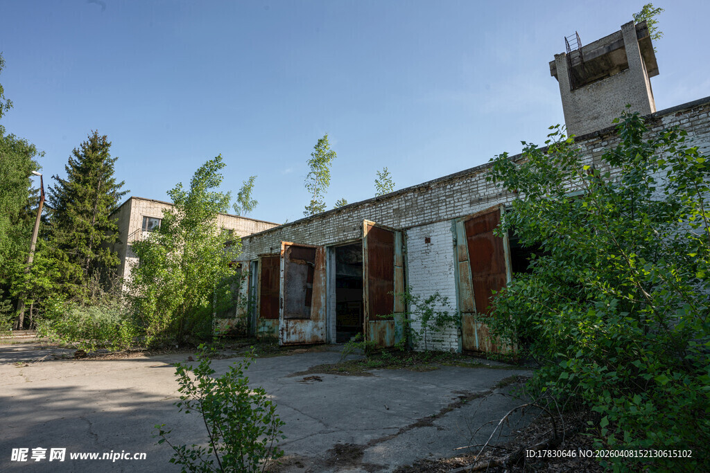 废弃房屋被绿植环绕