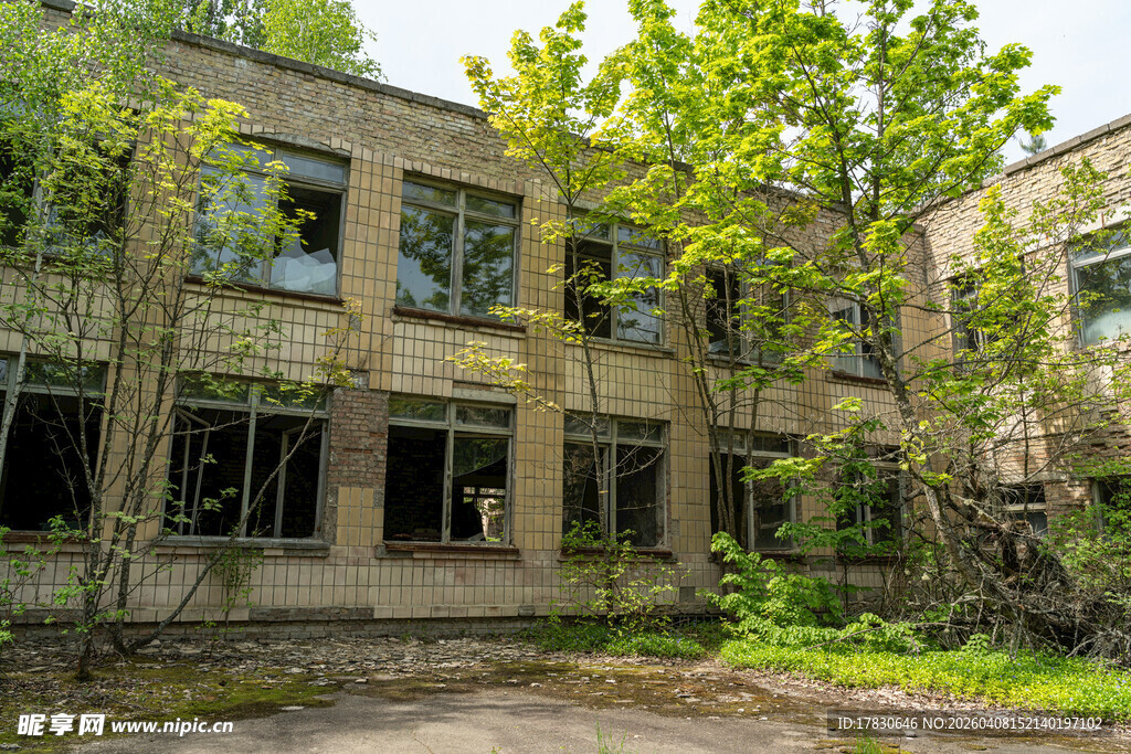 废弃建筑被绿植环绕