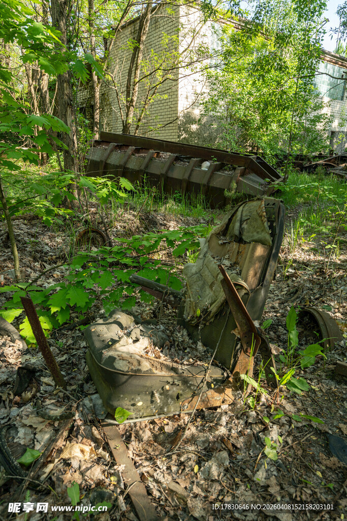 林间石桥隐于绿意之中