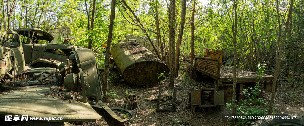 林间静谧户外露营场景