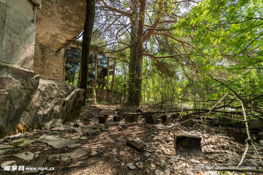 森林中的古老遗迹