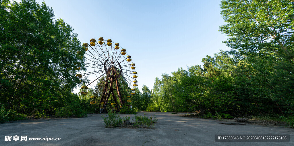 林间的摩天轮