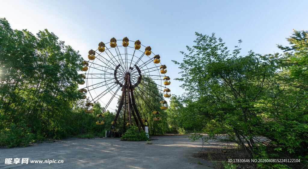 绿树环绕的大型摩天轮