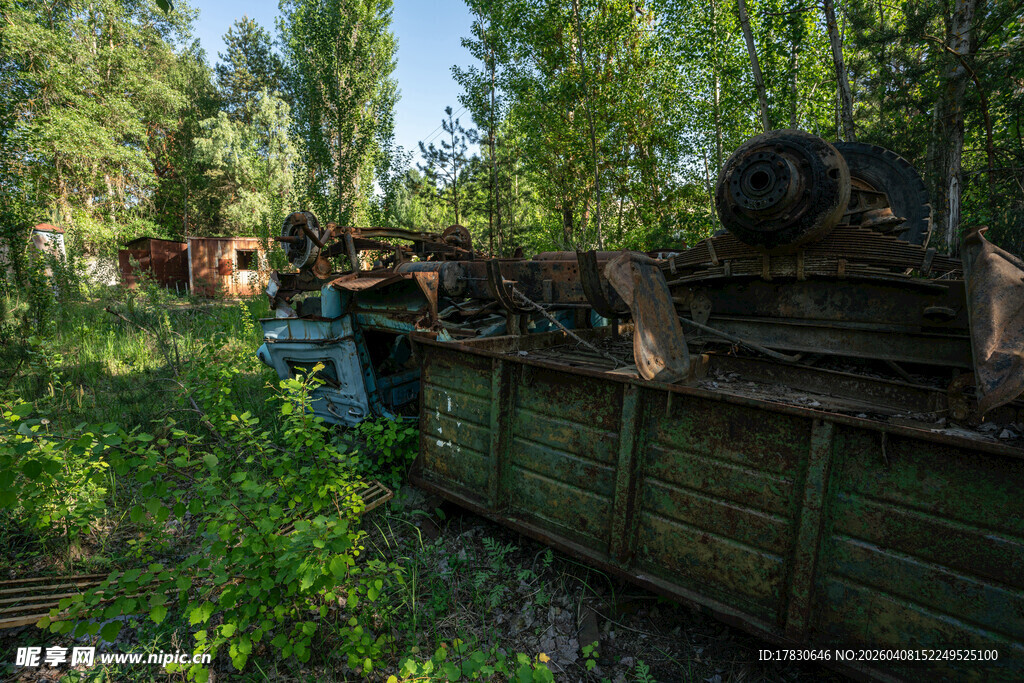 废弃机械藏身绿意丛林