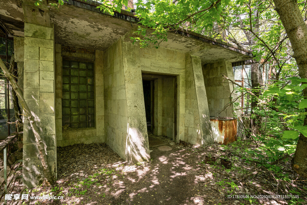 废弃小屋隐于繁茂树林中