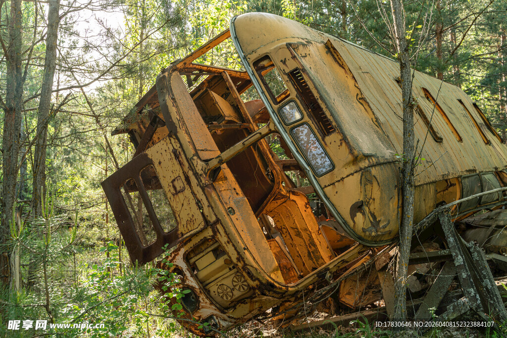 森林中废弃的破旧车辆