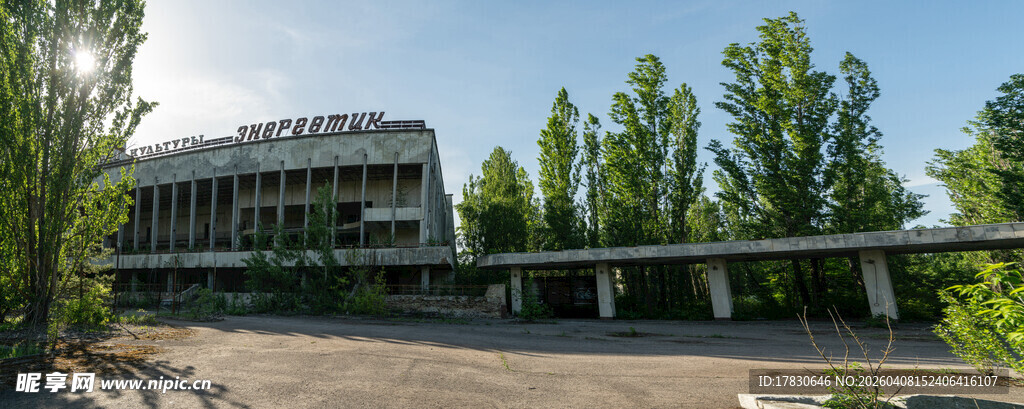 绿树环绕的现代建筑