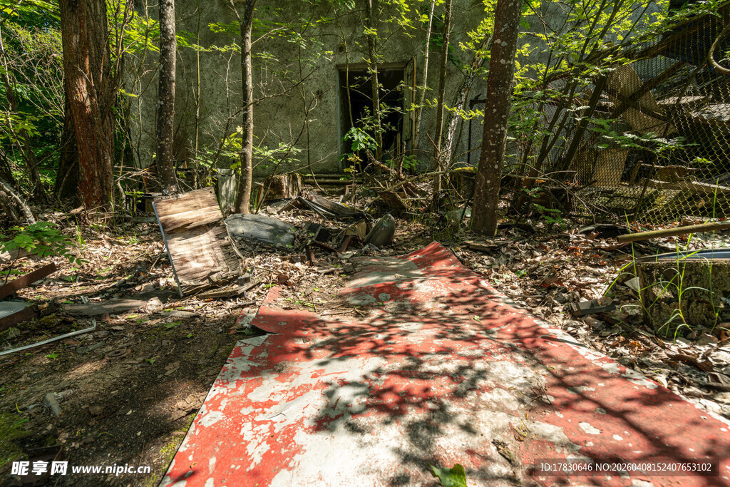 废弃红道隐于茂密树林中
