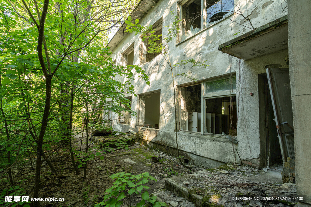 废弃建筑被绿植环绕