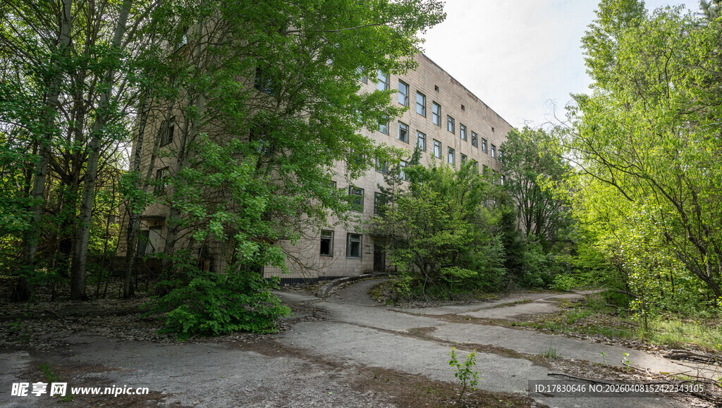 废弃建筑旁的荒芜树林