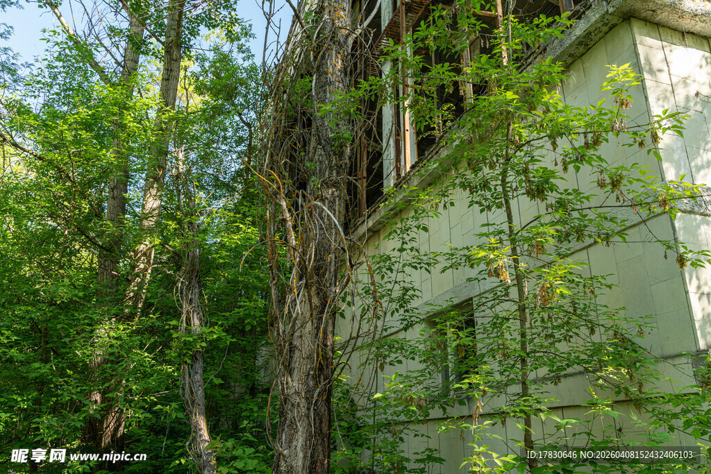 被绿植环绕的废弃老房子