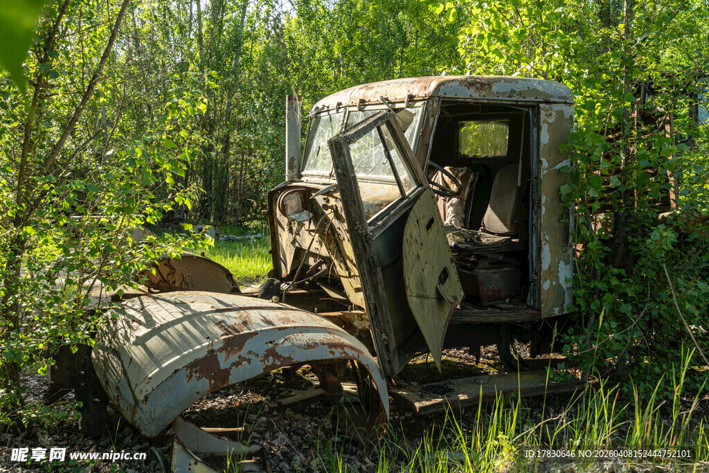 废弃汽车藏身茂密树林中