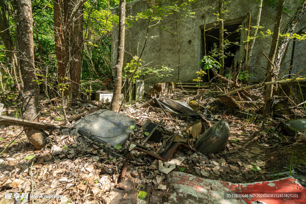 废弃林中的神秘残骸