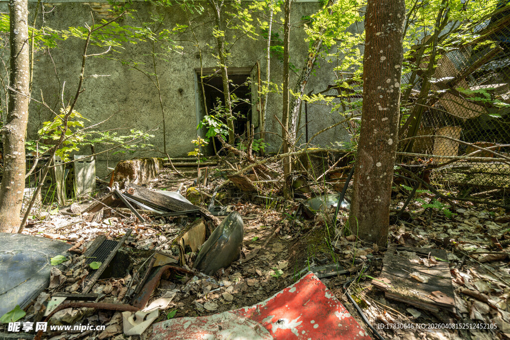 废弃丛林中的杂乱废墟