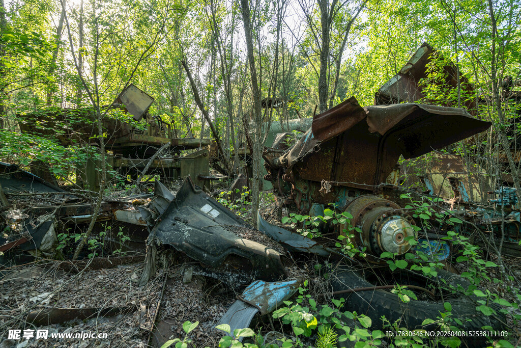 森林中的废弃小屋