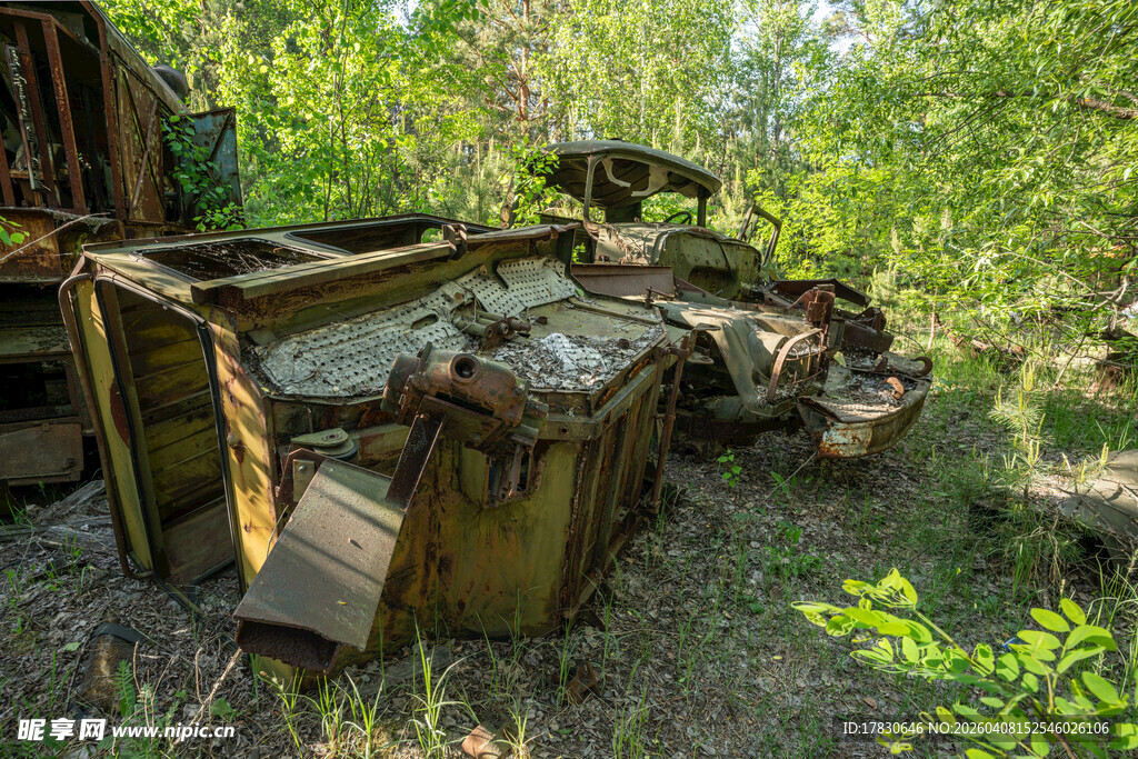 废弃挖掘机置身荒野丛林