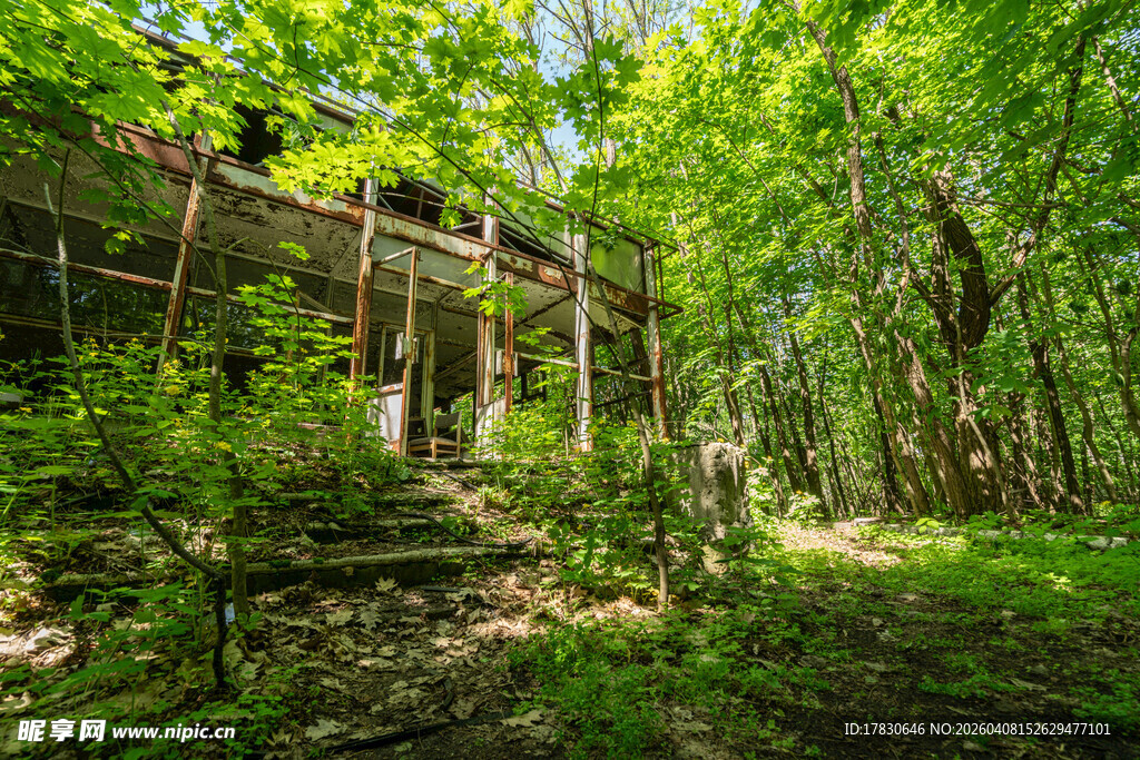 森林中隐藏的废弃木质建筑