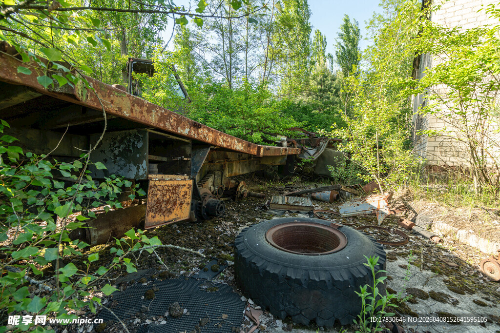 废弃轮胎与绿植环绕的场景
