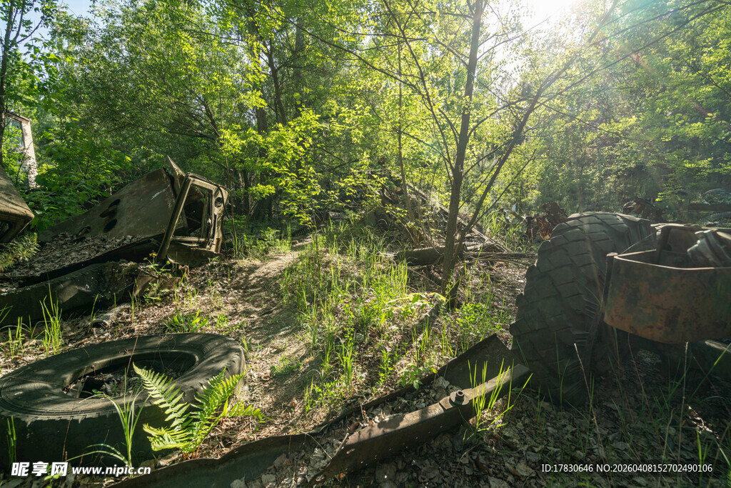 废弃丛林中的旧机械遗迹