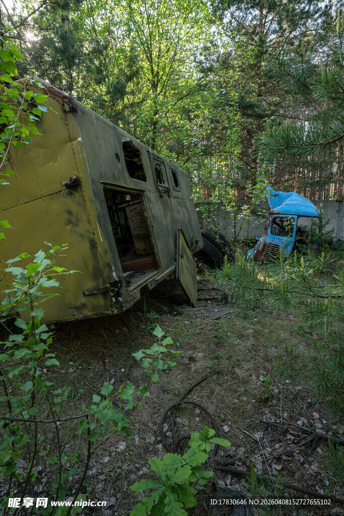 废弃林地中的破旧车辆