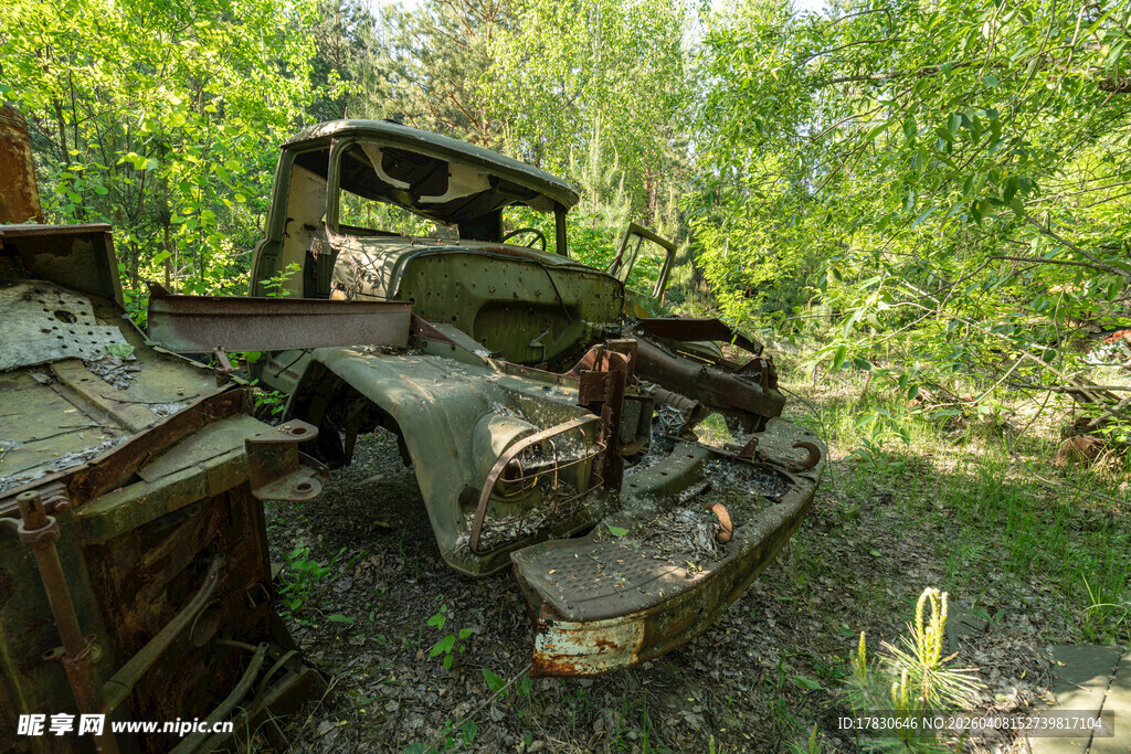 废弃汽车静躺绿意丛林中