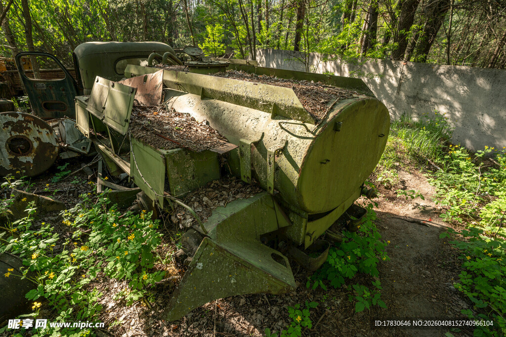 林间残旧石制长椅