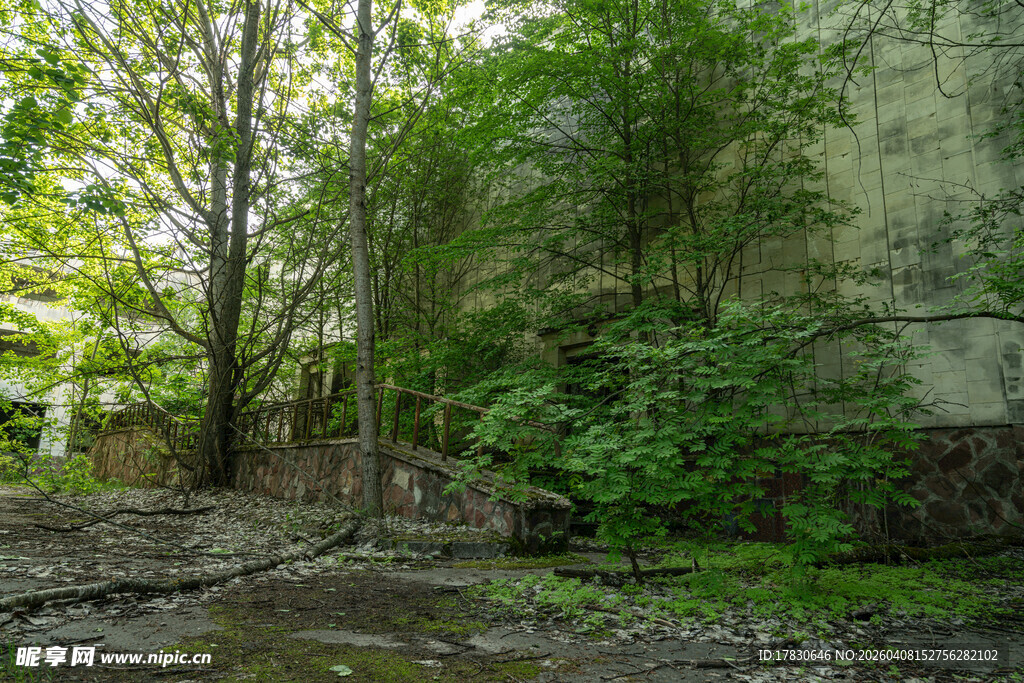 林间石壁下的清幽景致