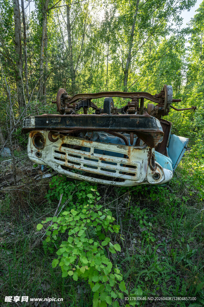 废弃汽车藏身茂密树林中