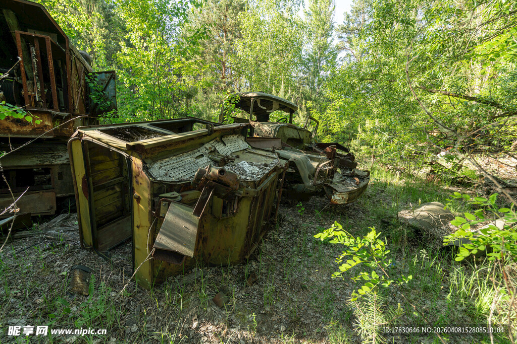 废弃车辆藏身茂密树林中
