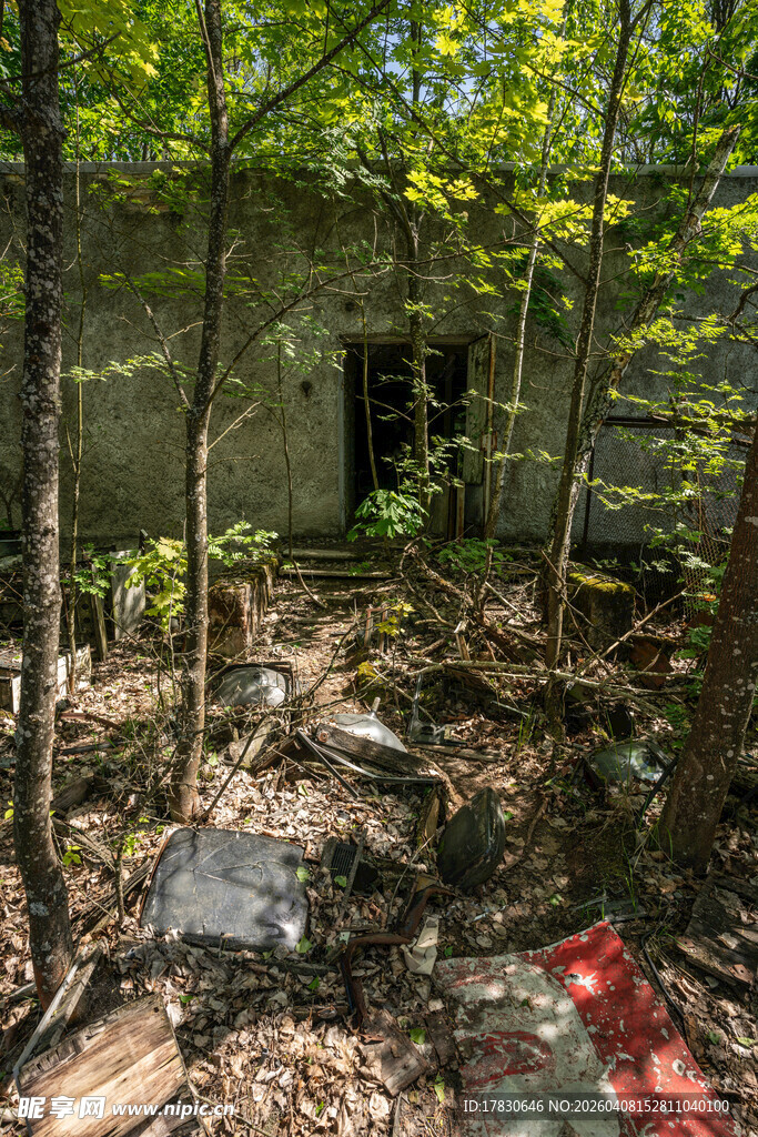 废弃林中房屋杂草丛生