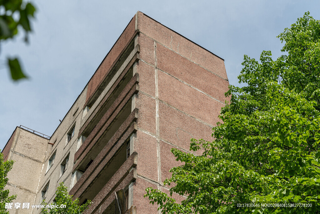 红砖建筑旁的葱郁绿树