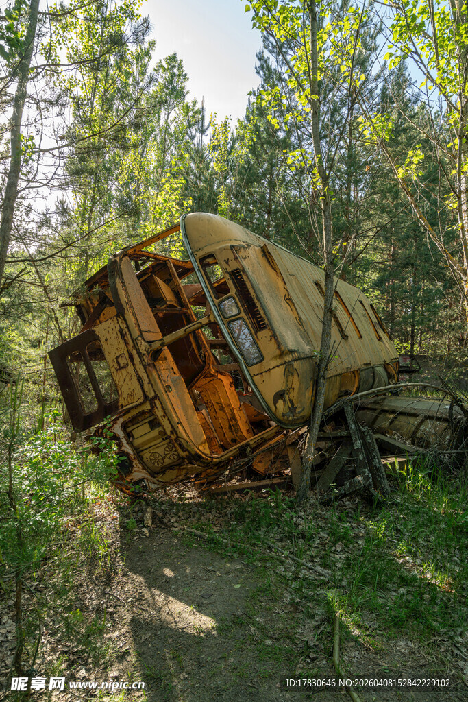 森林中废弃的机械残骸