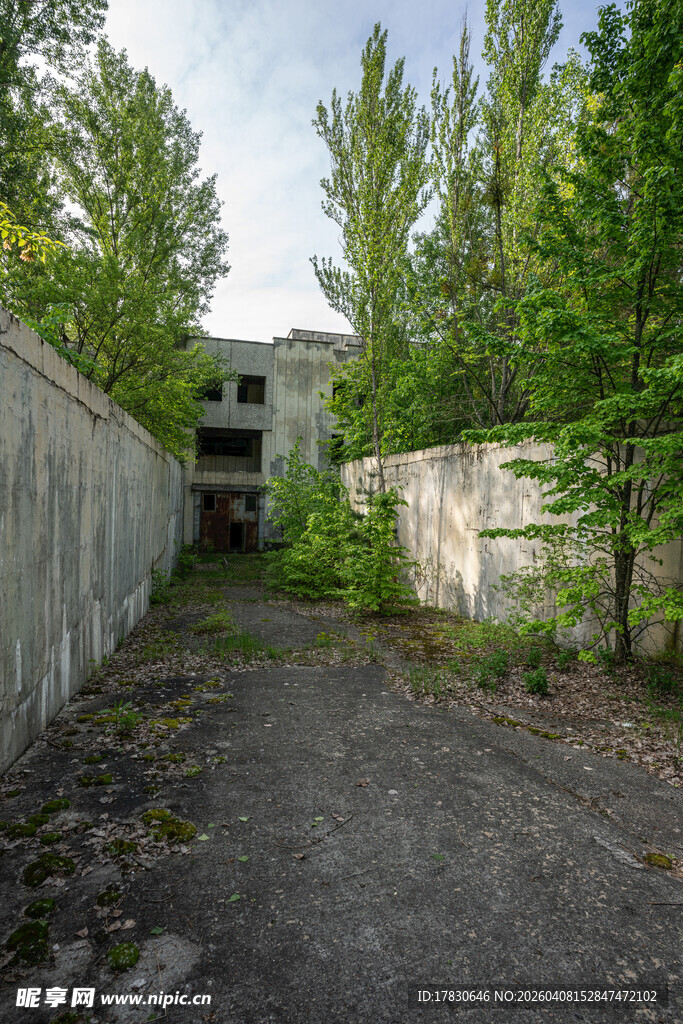 废弃建筑间的荒芜小道