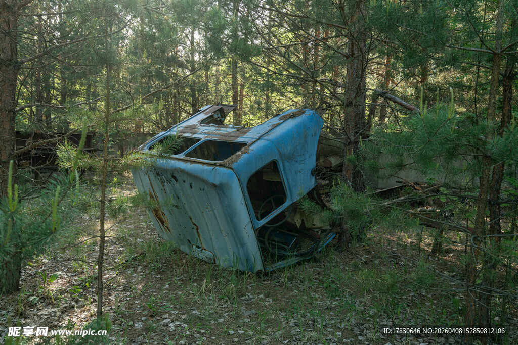 森林中废弃的蓝色车辆
