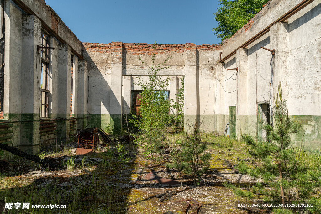废弃庭院中的荒芜景象