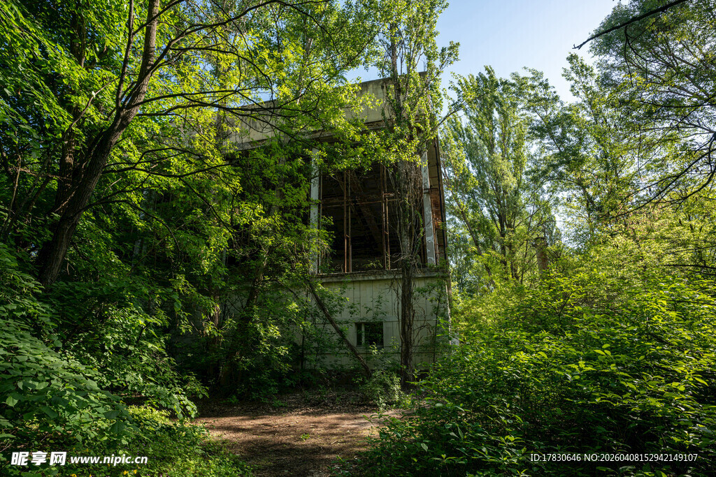 被绿植环绕的废弃房屋