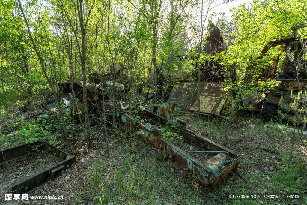森林中的废弃机械遗迹