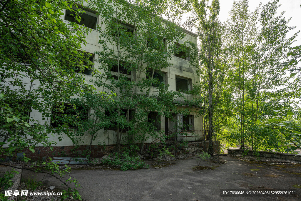 废弃建筑被绿植覆盖