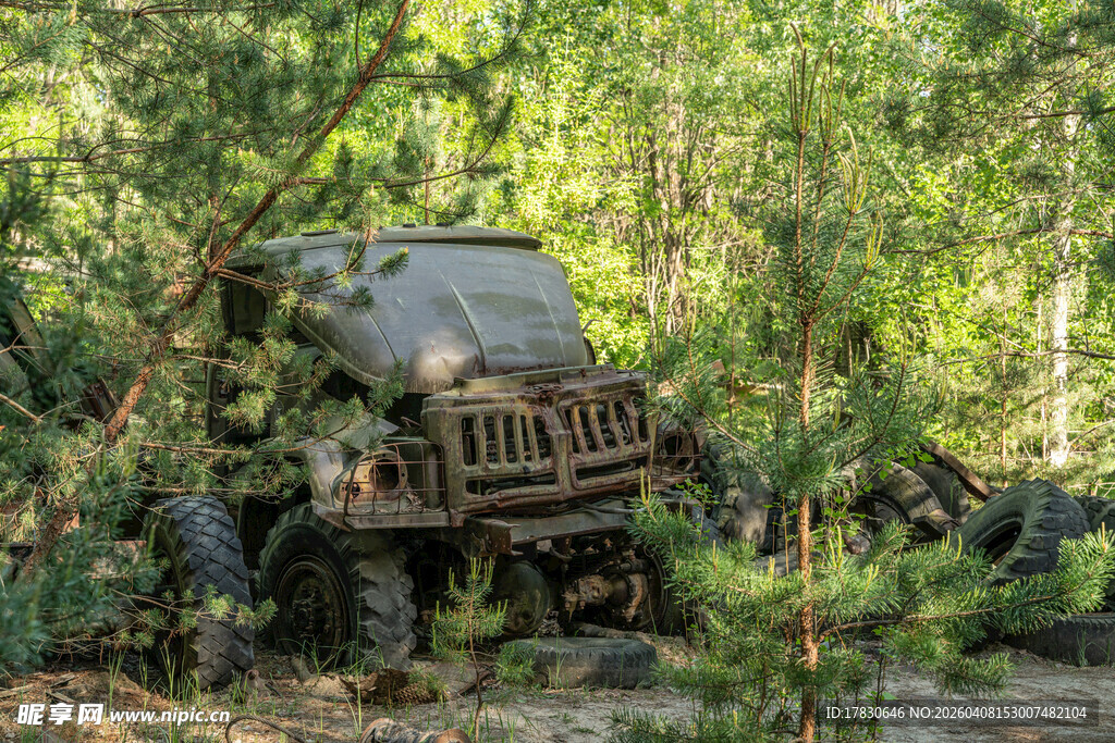丛林中的越野吉普车