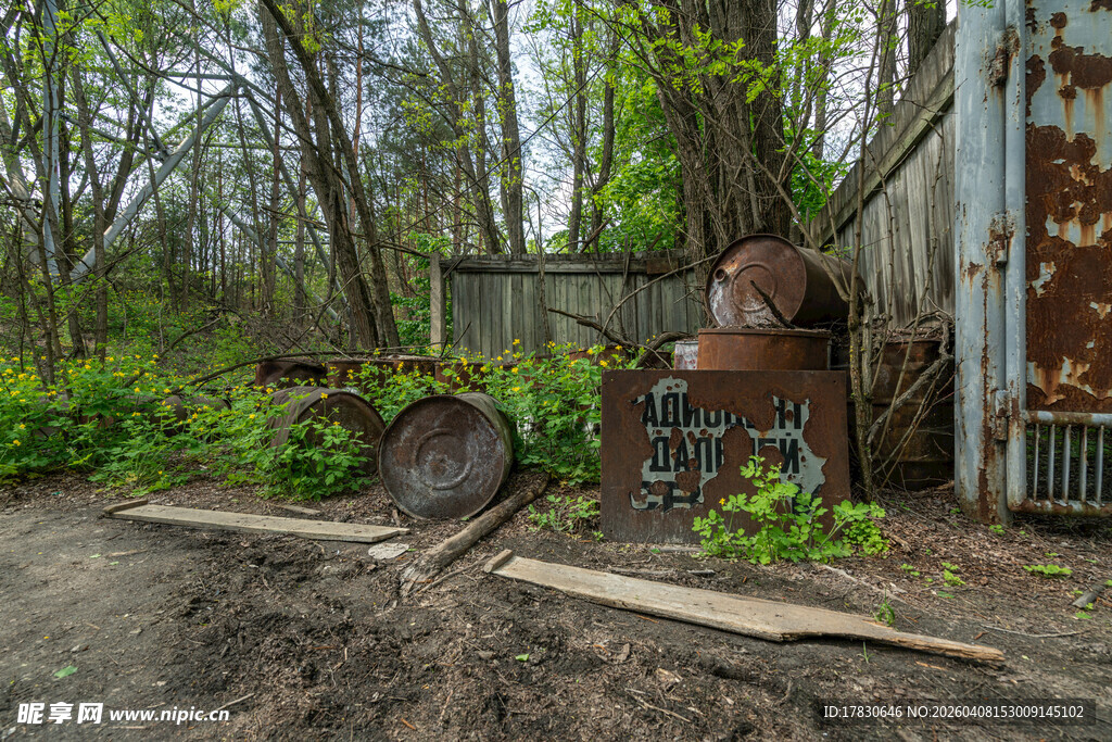 废弃角落的旧物与绿植