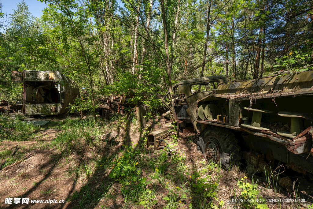 林间废弃场景