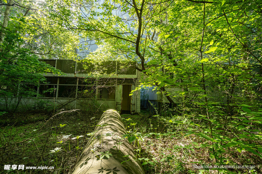 森林中古老建筑与倒下树木