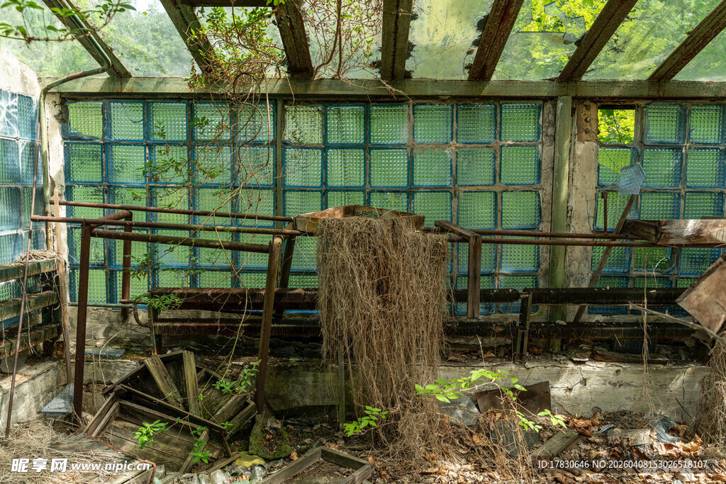 废弃温室场景