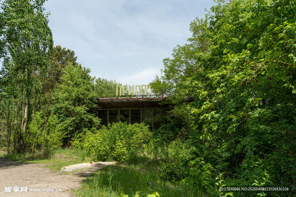 林间废弃小屋自然环绕