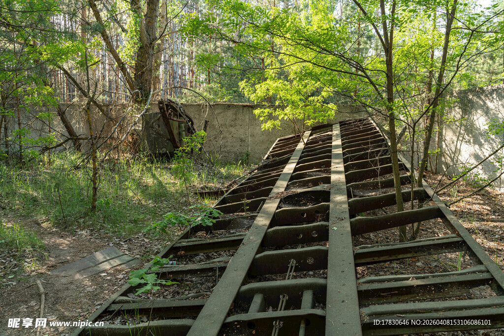 废弃铁轨延伸于林间