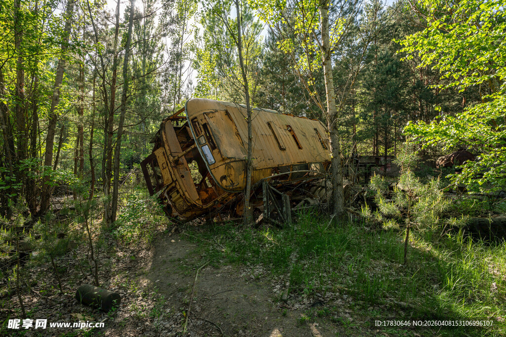 森林中废弃的黄色火车车厢