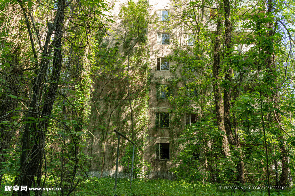 森林中的废弃建筑遗迹
