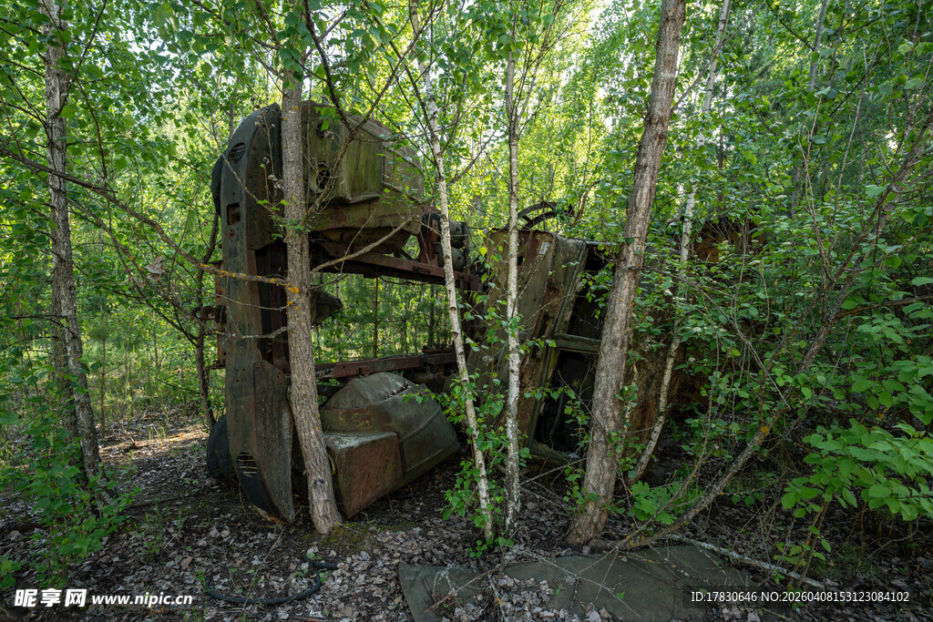 森林中的古老废弃建筑