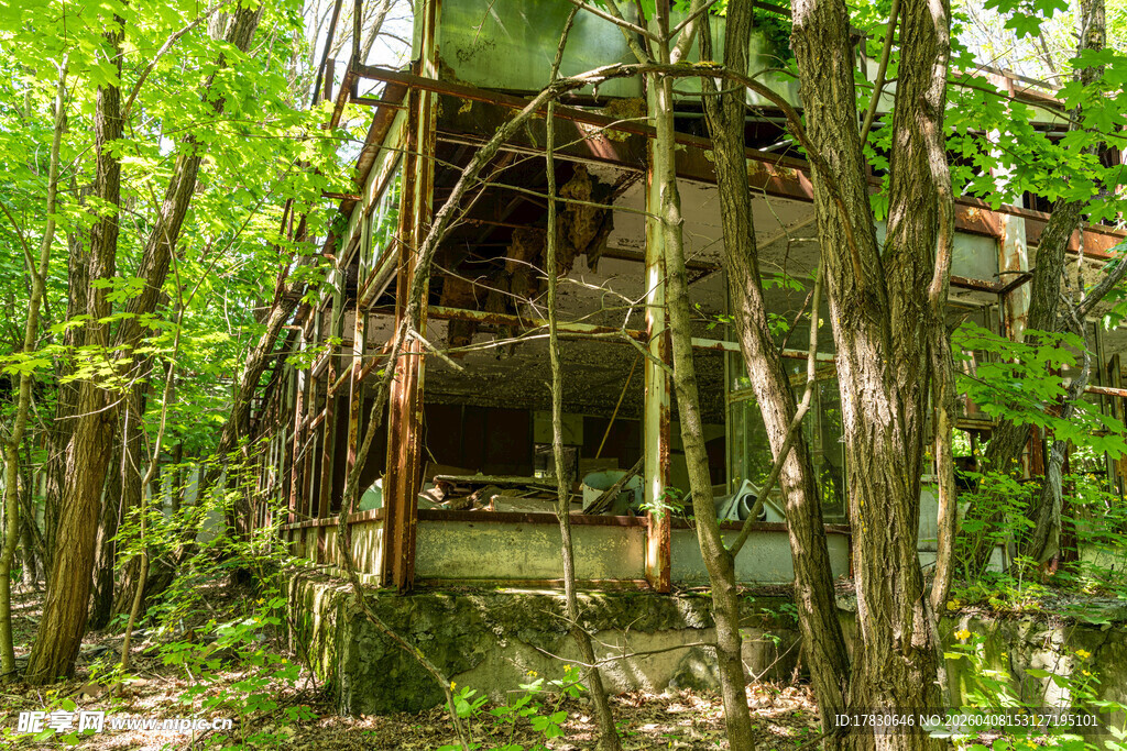 丛林中的废弃建筑遗迹