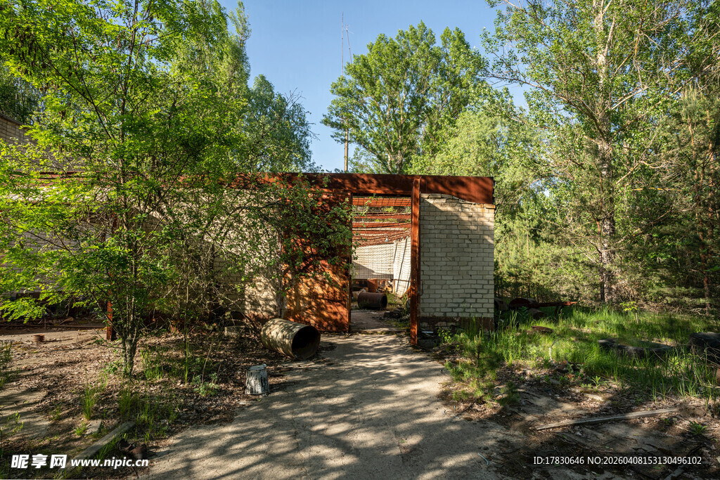 林间小屋隐于葱郁草木间